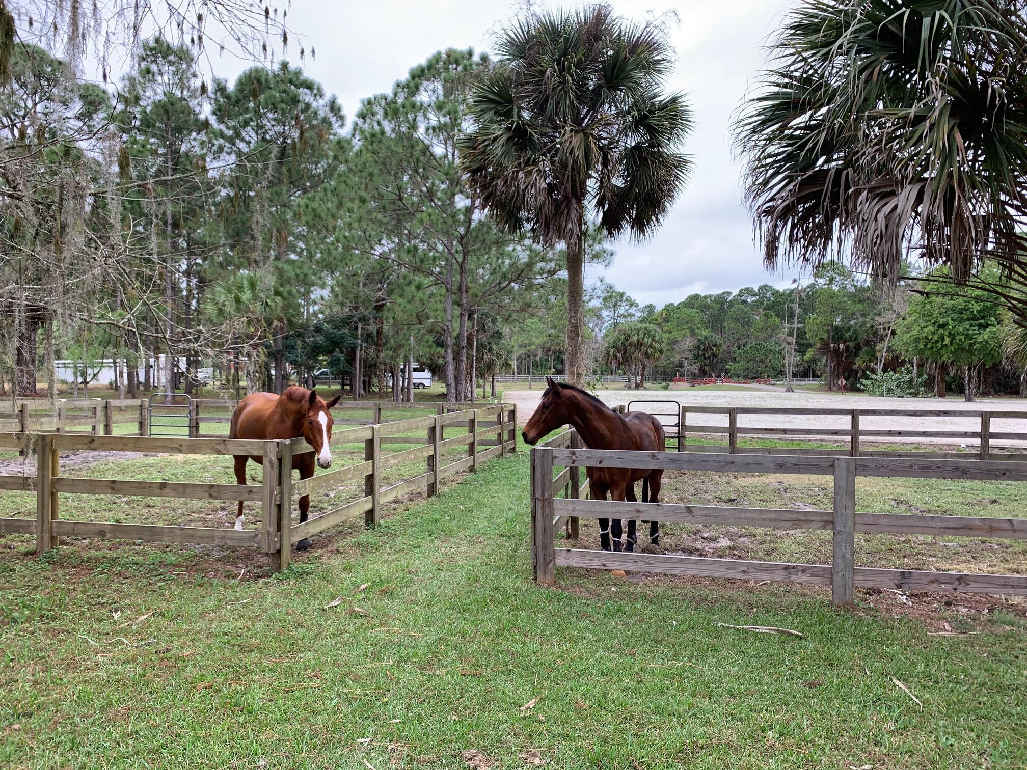 Fox Trail - Residential Lease