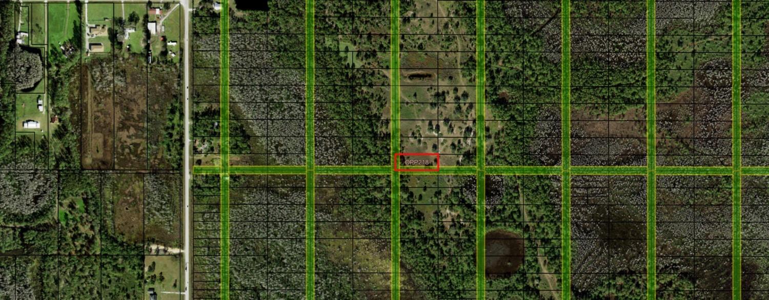 Opp218 Orlando Pines - Land