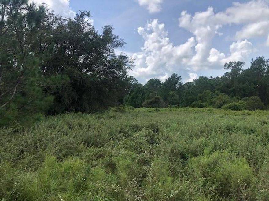 Great tree line on this Polk County hunting lot. Ownership also opens up access to miles of 4×4 trails. Set up a shooting range, a food forest, or a nursery. Lots of options. Owner financing available with low down payment and monthly payments.