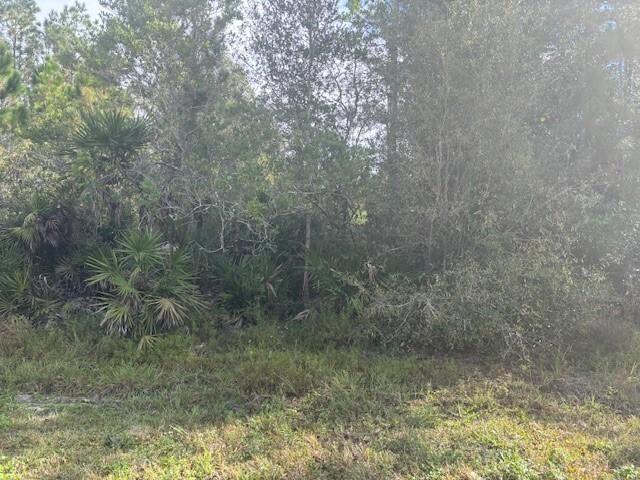 Opp218 Orlando Pines - Land