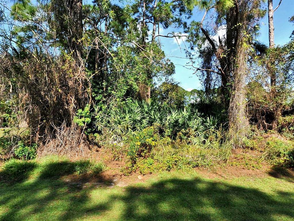 PORT ST LUCIE SECTION 19 - Land