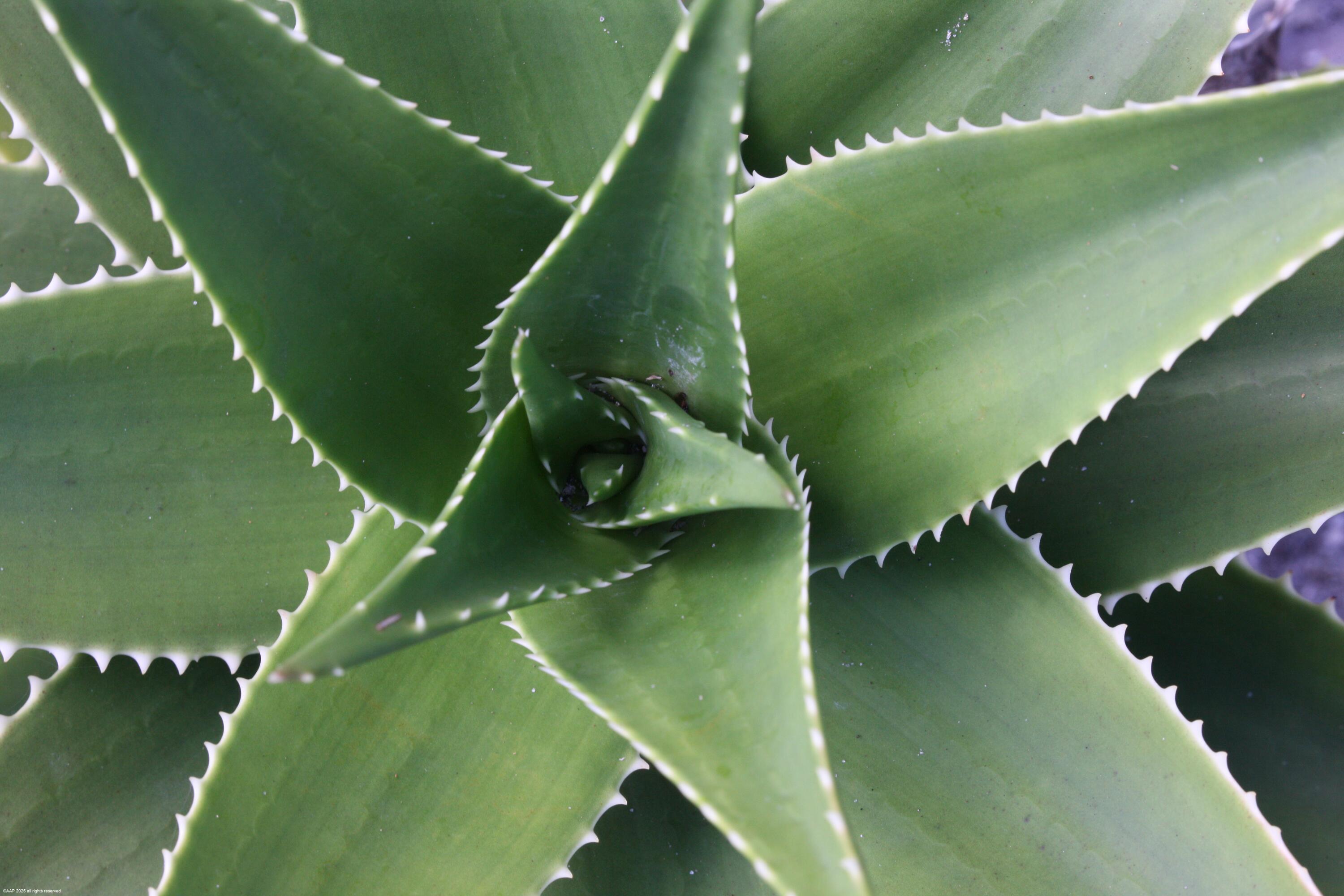 JUPITER ISLAND - Residential