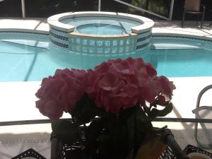 Mariner Village Pud - Residential