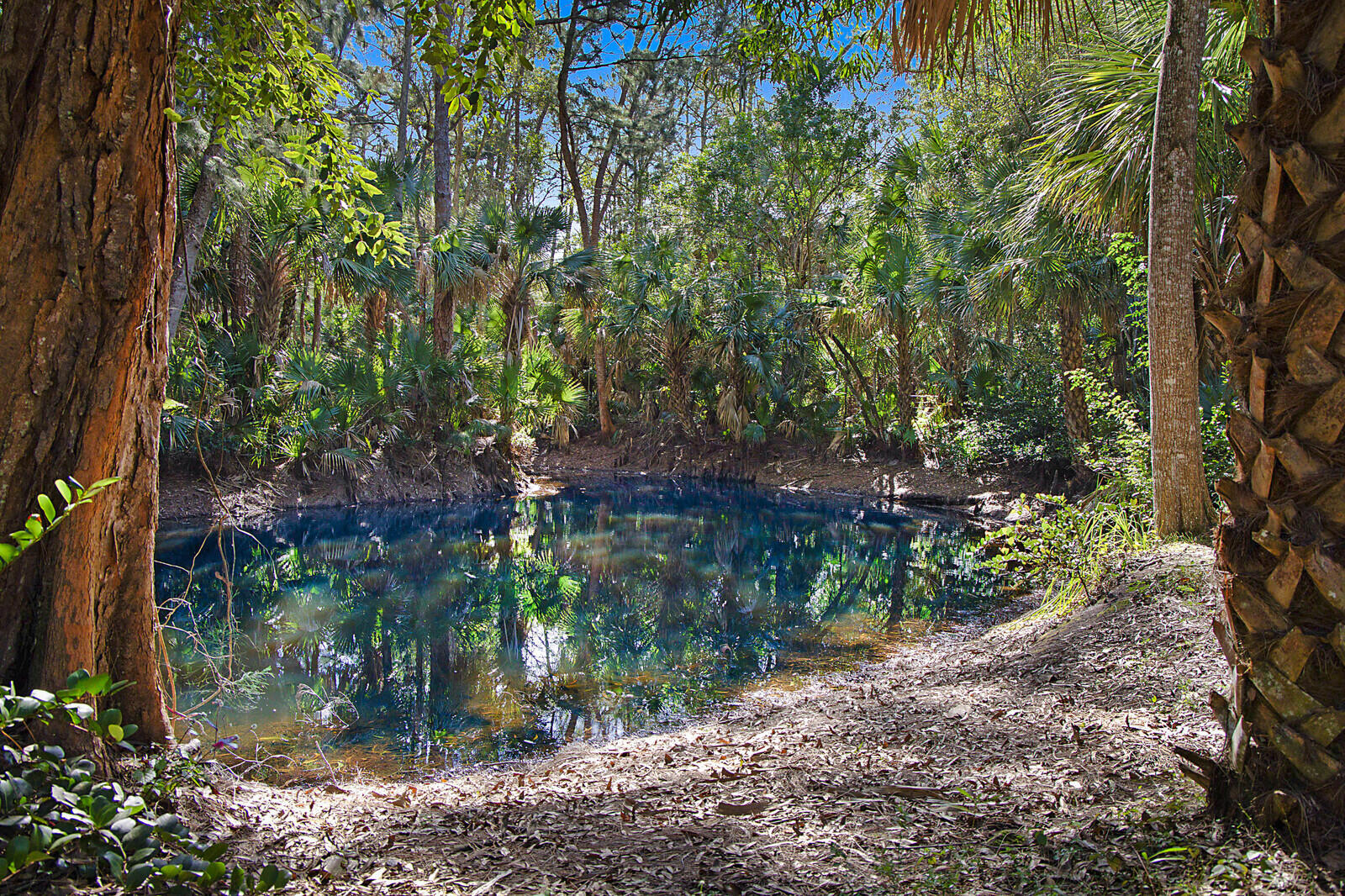 LOXAHATCHEE GROVES - Residential