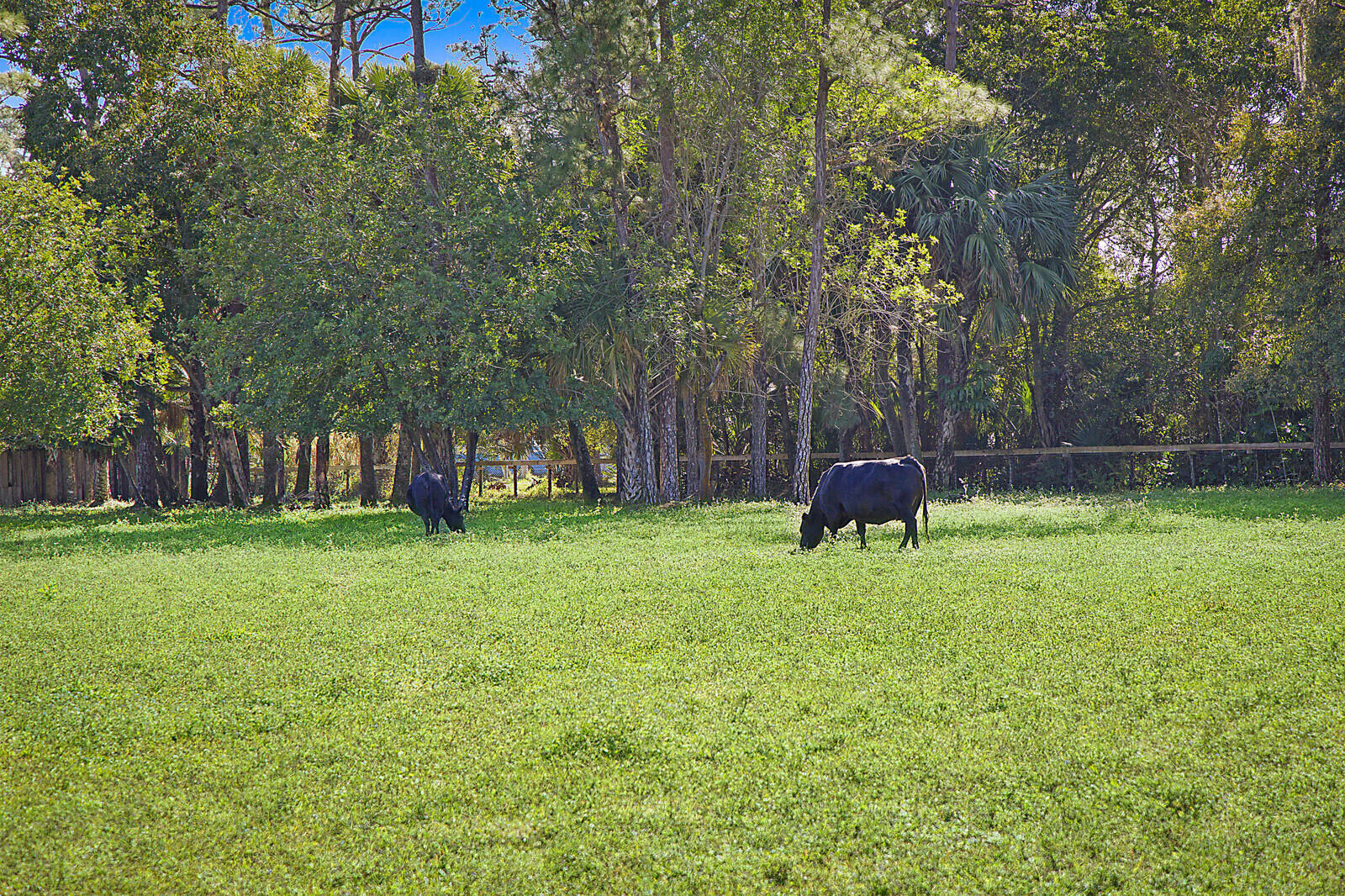 LOXAHATCHEE GROVES - Residential