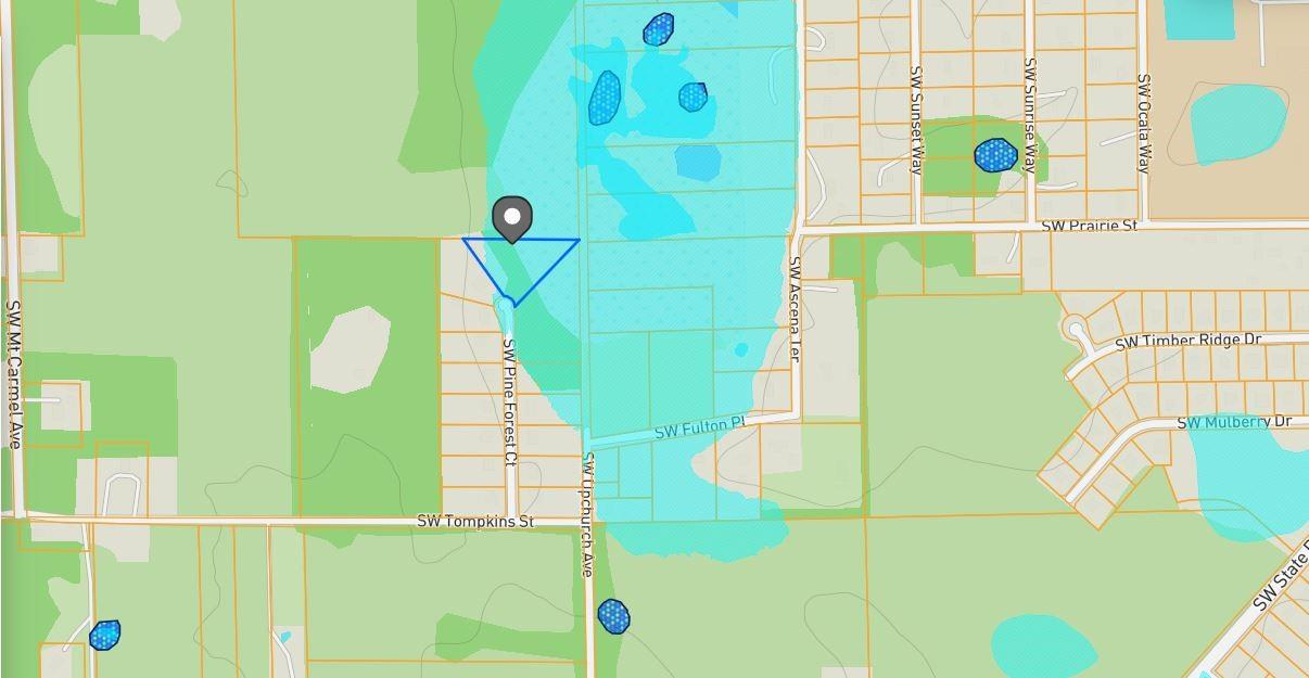 PINE FOREST SUB - Land