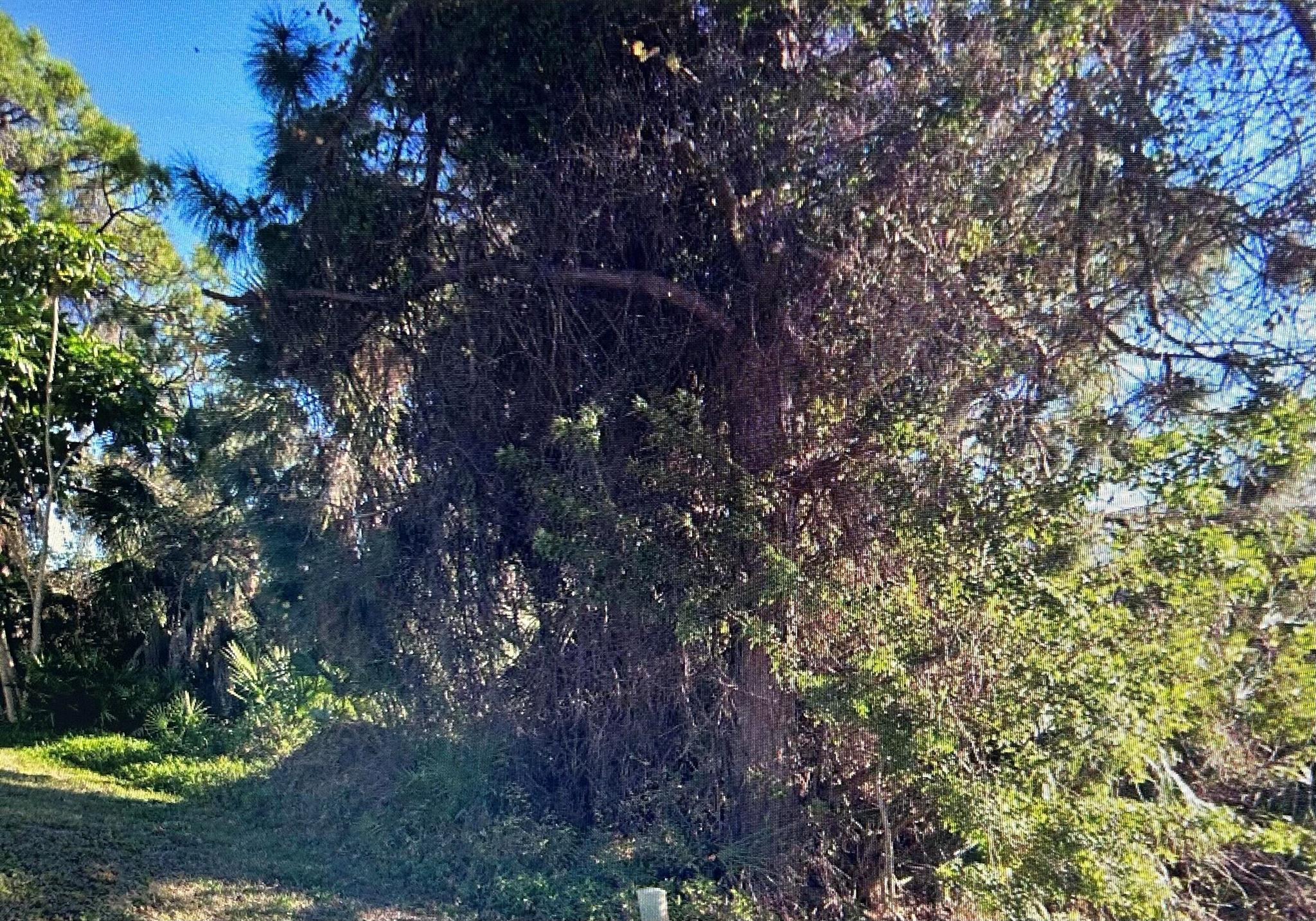 Beautiful Residential parcel in very desirable neighborhood close to the water iun South Venice.