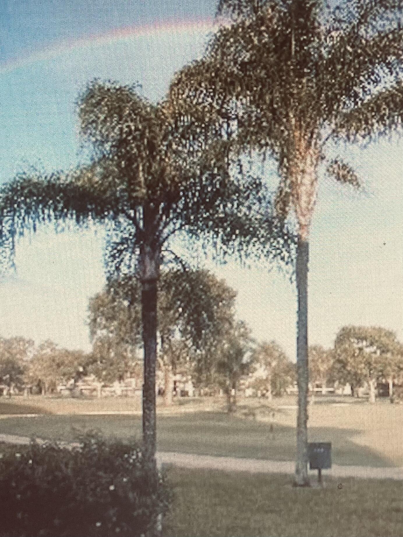 RIVERBEND CONDO - Residential