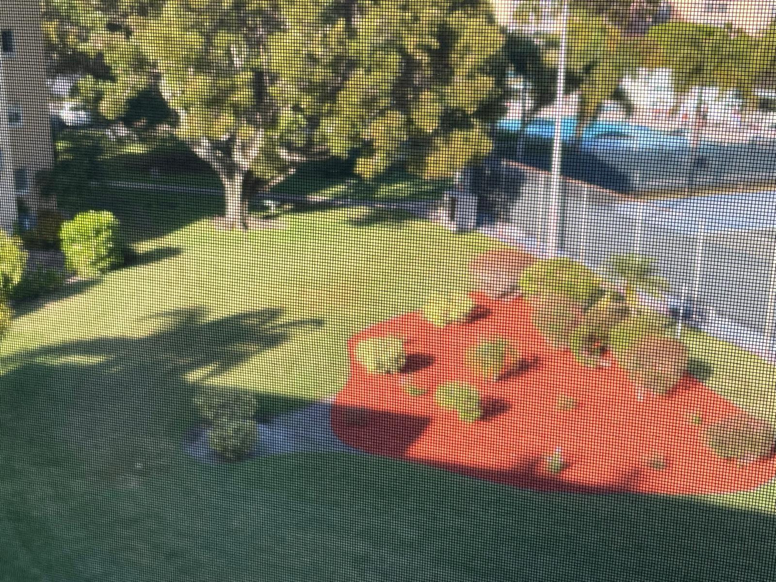 Village Royale - Residential