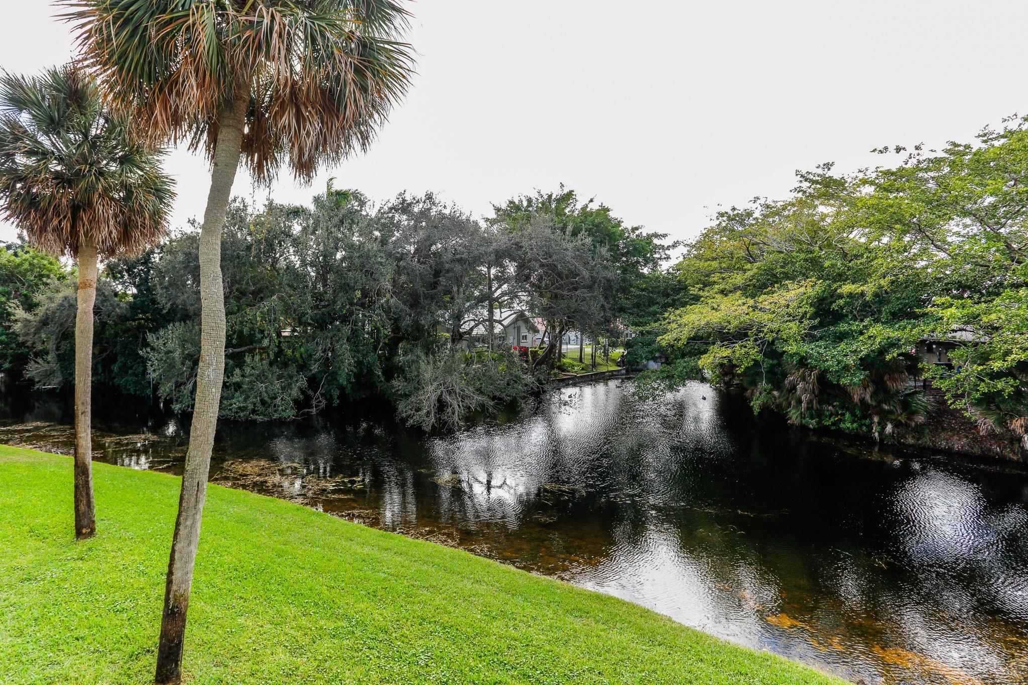 The Newport - Residential