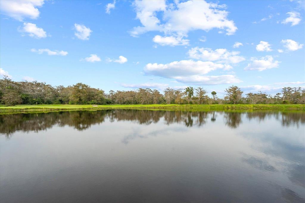 BLUE CYPRESS REPL AT PALM BEACH POLO & COUNTRY CLU - Residential