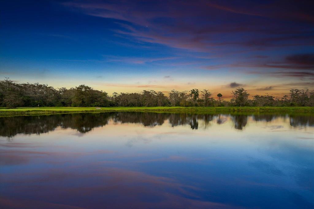 BLUE CYPRESS REPL AT PALM BEACH POLO & COUNTRY CLU - Residential