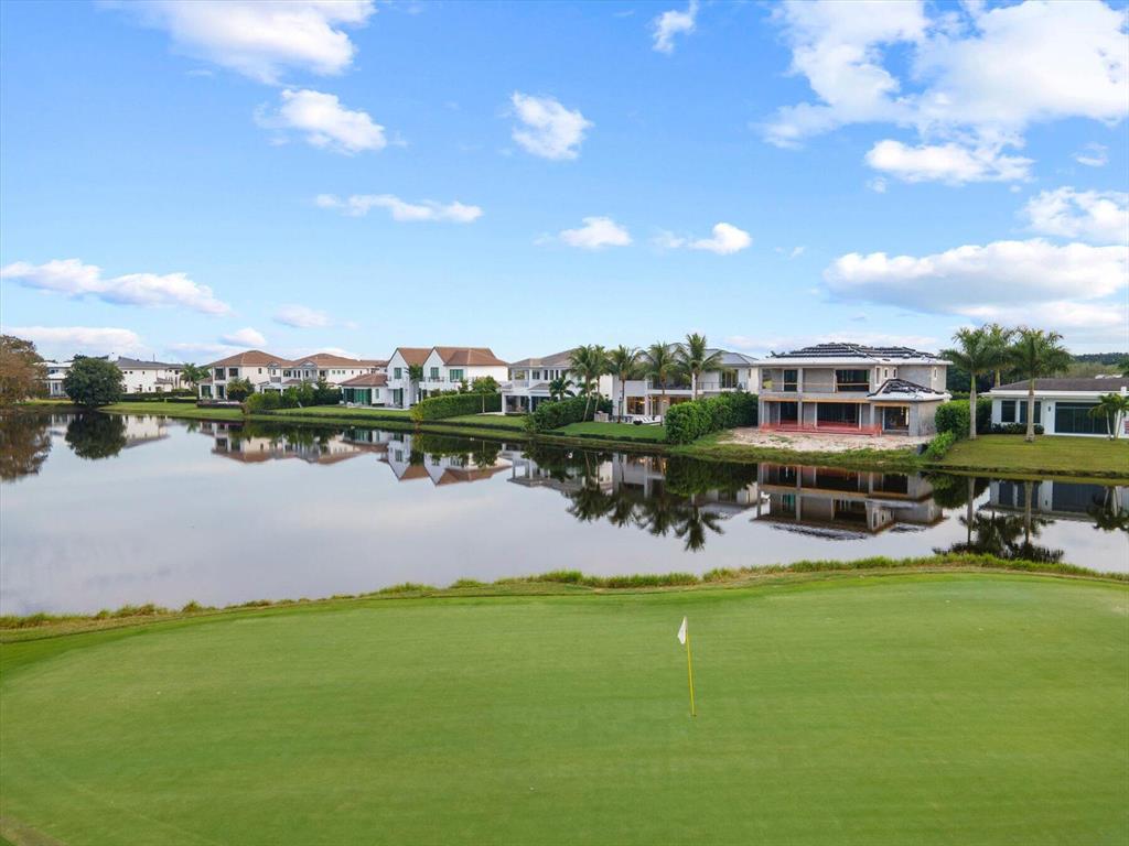 BLUE CYPRESS REPL AT PALM BEACH POLO & COUNTRY CLU - Residential