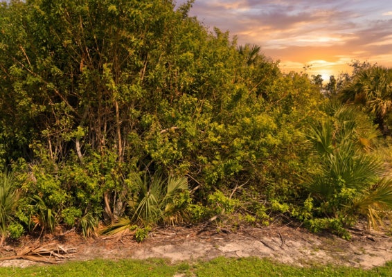 2300 42ND ST, VERO BEACH, FL 32967 - Image 6a2fa9fffb59ea059cb6dff07c886011/1644291149