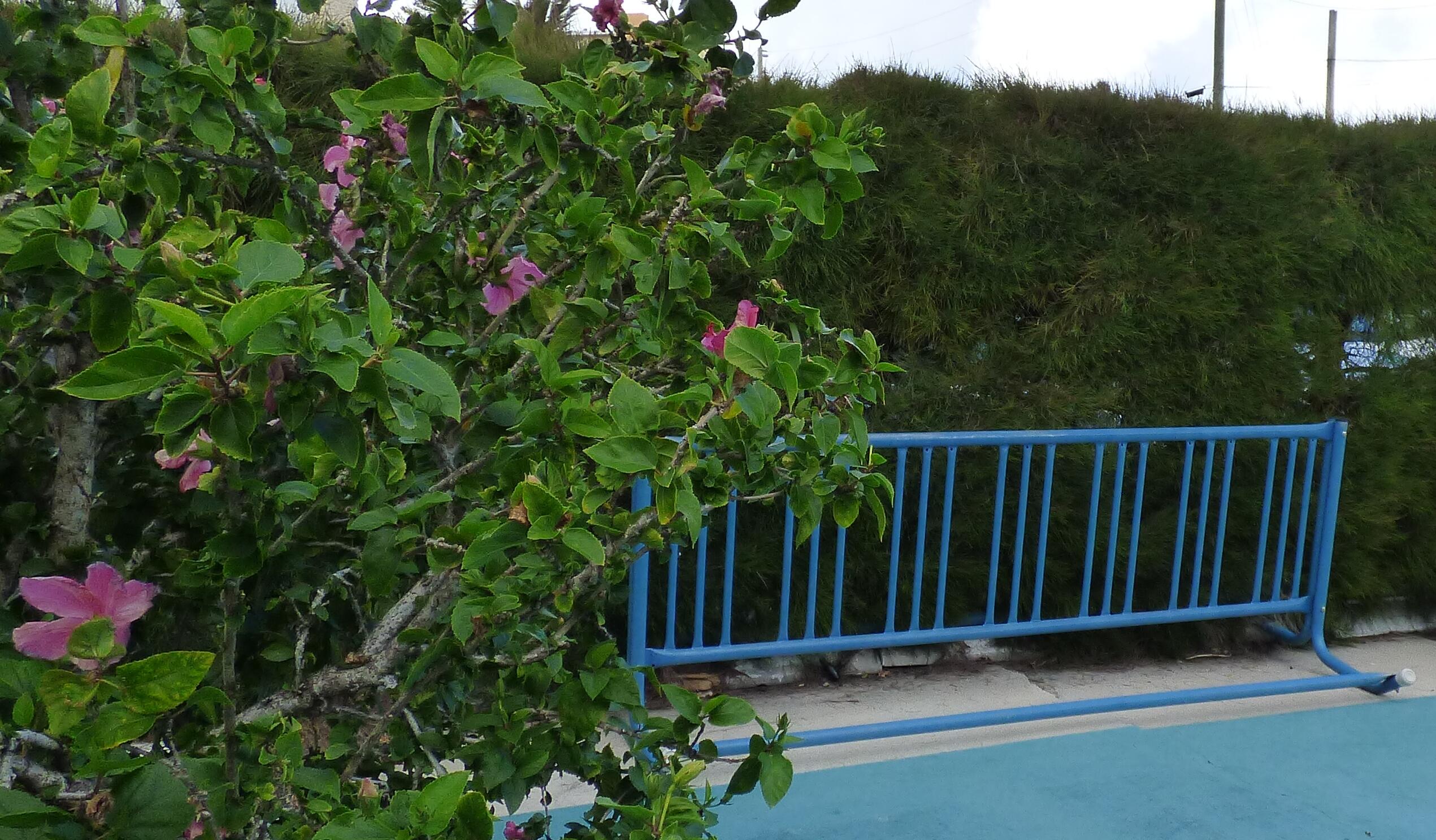 SEA ESTA CONDO - Residential Lease