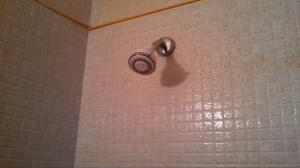 Pines of Delray Condo 1-13 - Residential Lease