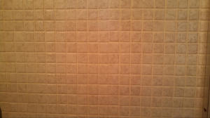 Pines of Delray Condo 1-13 - Residential Lease