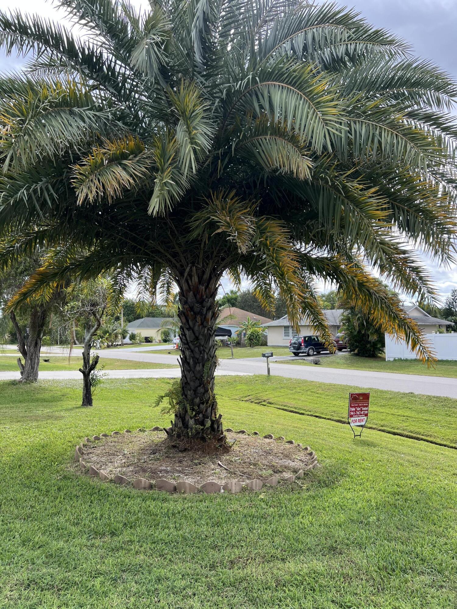 PORT ST LUCIE SECTION 62 - Residential Lease