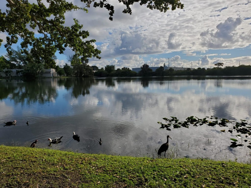 Royal Park - Residential