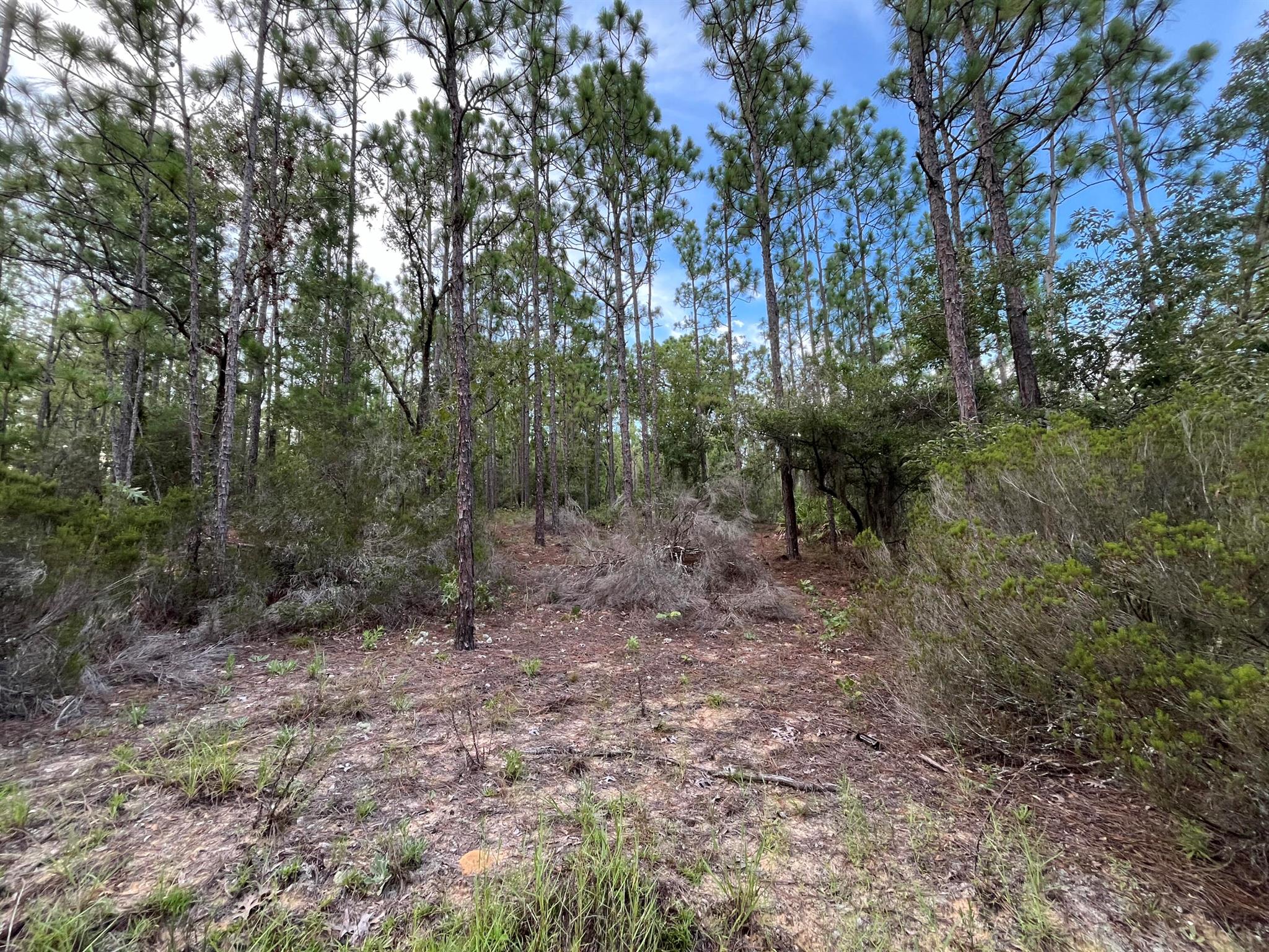 Owner Financing Available. Don't Miss out on this High and dry 0.46 acre corner lot. Looking to purchase your dream property in Florida, look no further. This lot is listed below market value! Buying Land in Florida is a solid investment for your future, build your dream home, vacation home, rental investment or let the land build value as a great long-term investment to resell for a future profit.