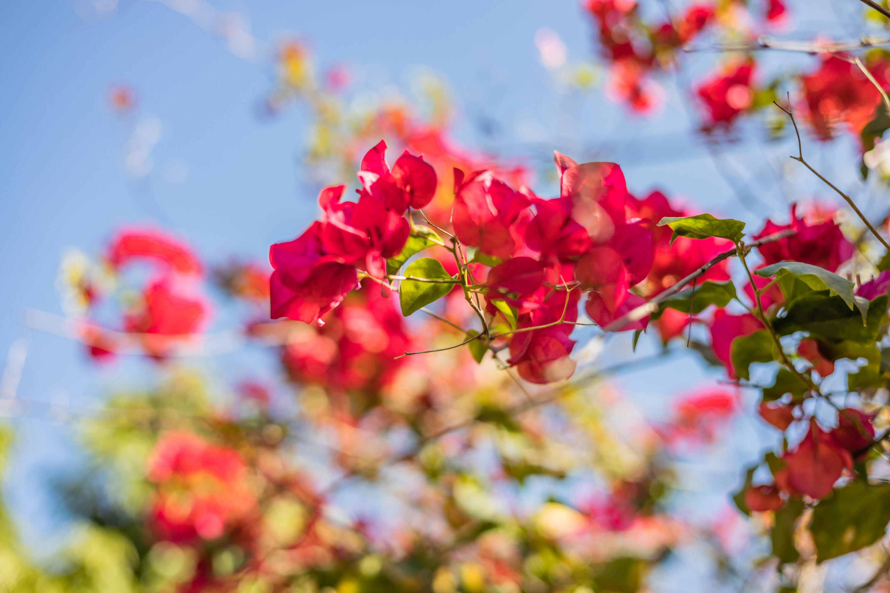 MILLER'S SUBDIVISION - Residential