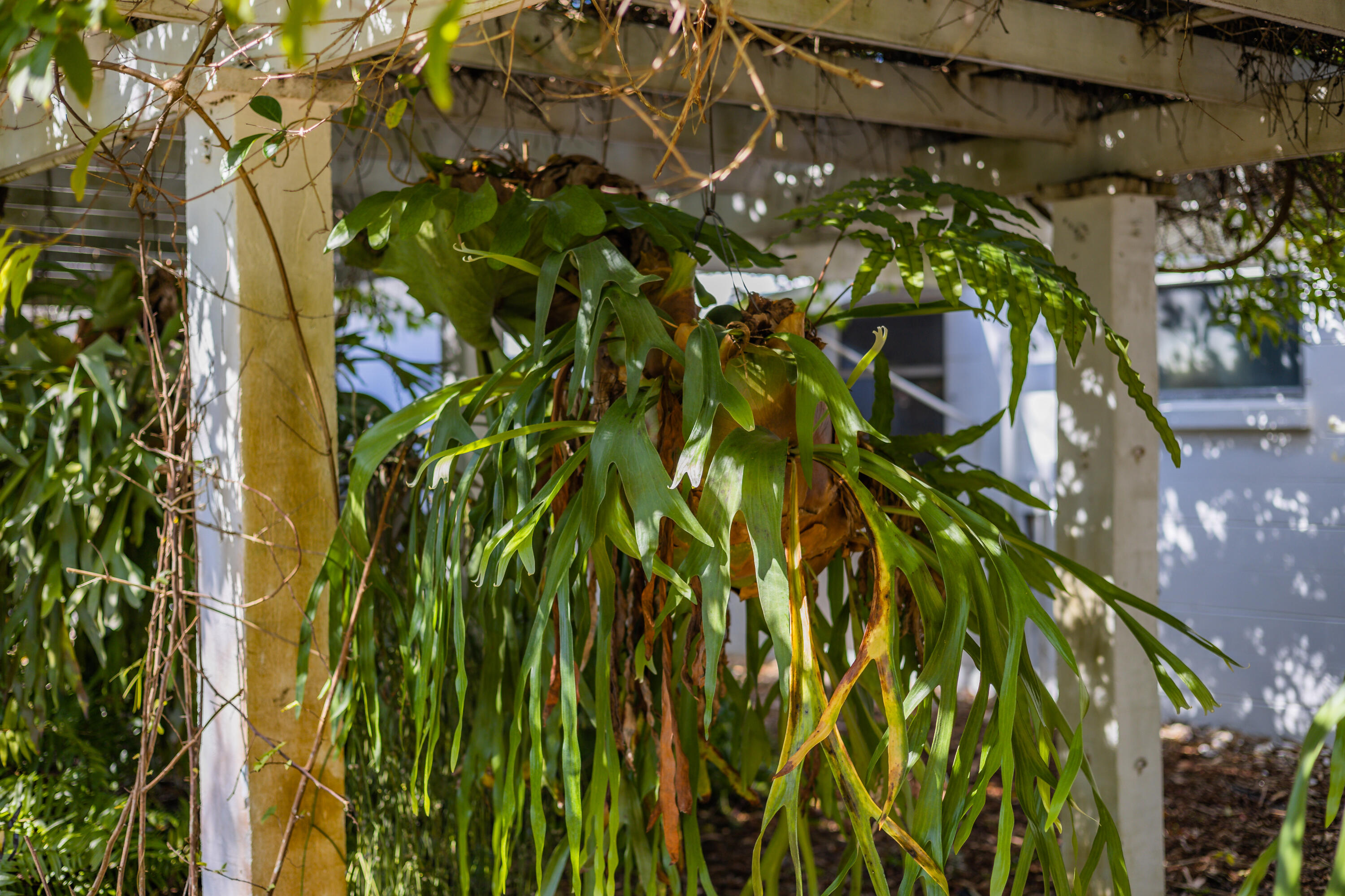 MILLER'S SUBDIVISION - Residential