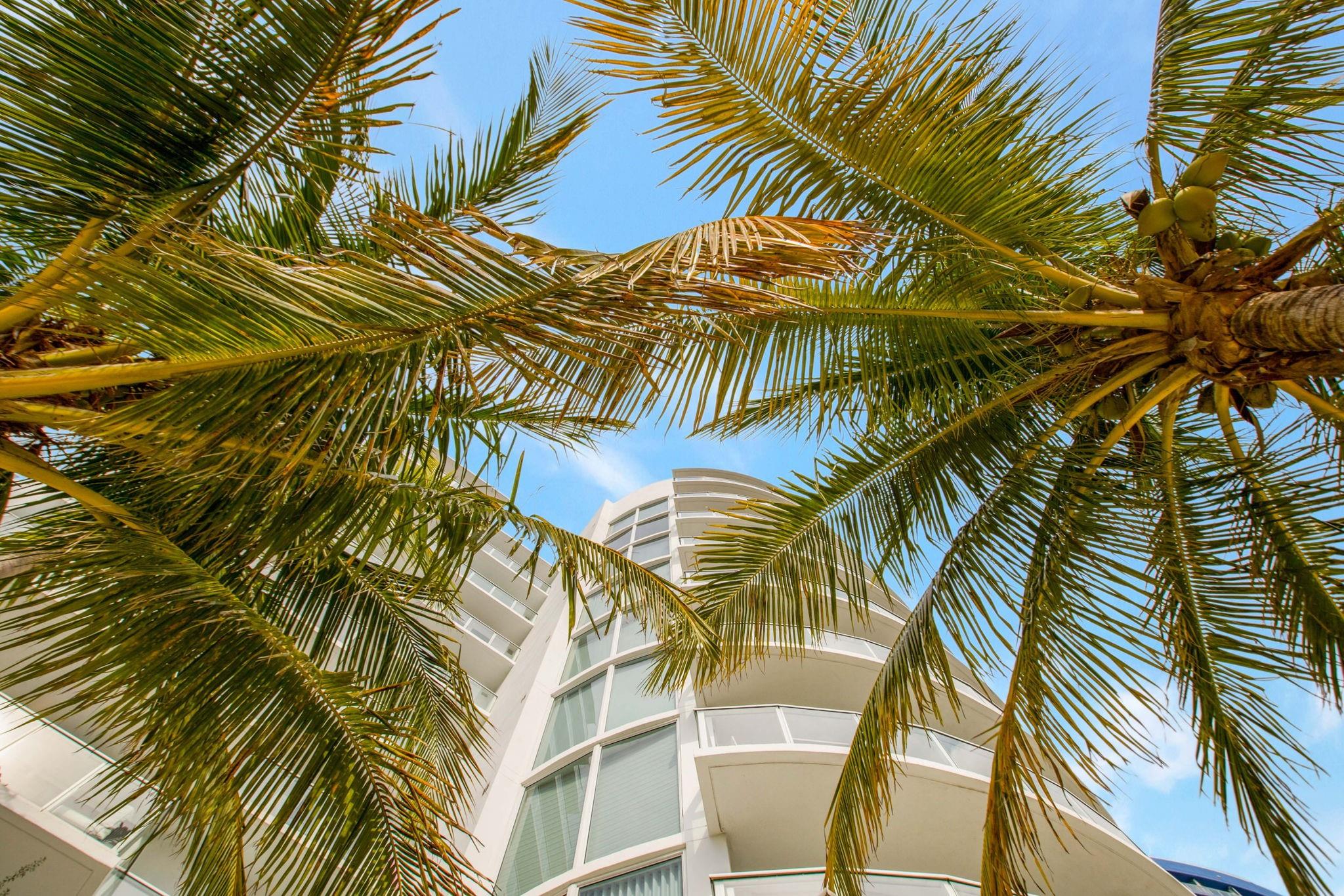 Tiffany House - Residential