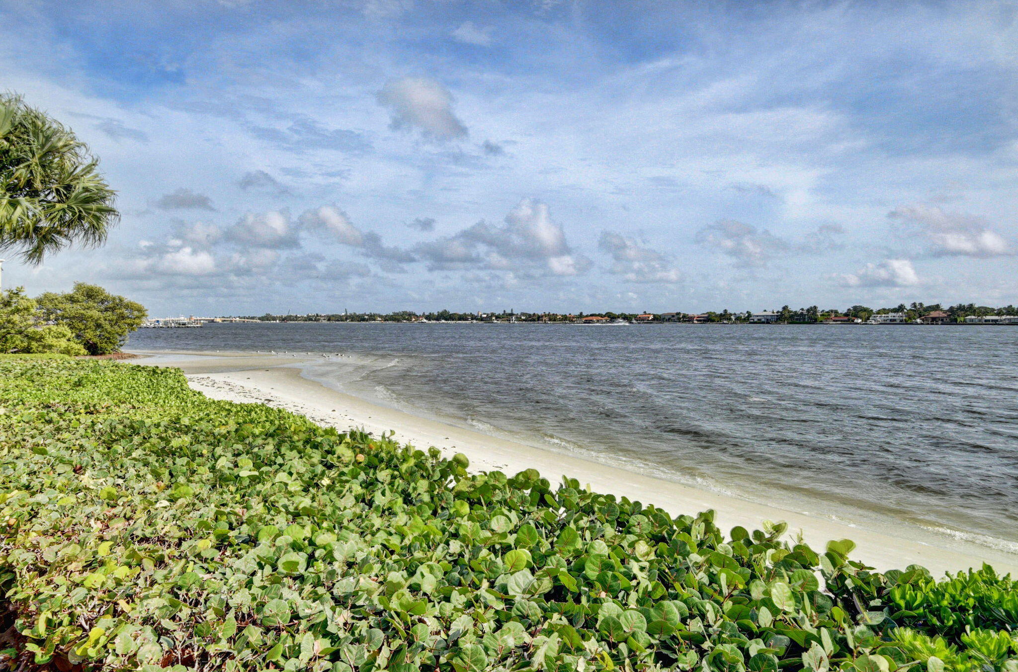 HALF MOON BAY CONDO PH I AND II - Residential