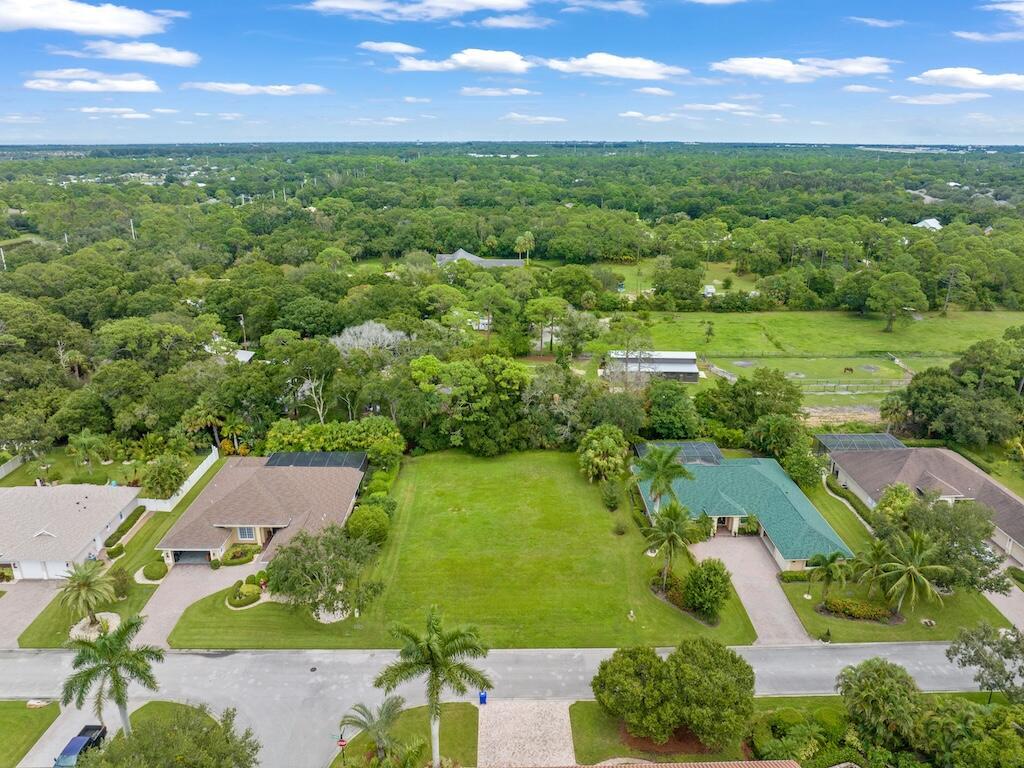 AMELIA PLANATION SUB - Land