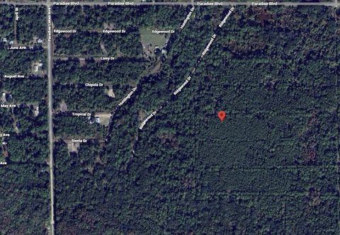 307 Tropical Drive Georgetown FL 32139