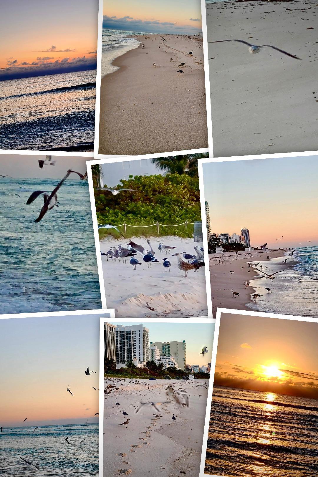 PARKVIEW PLAZA CONDO - Residential