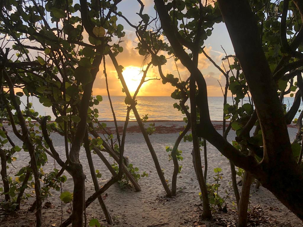 VILLAGE AT ABACOA CONDO - Residential