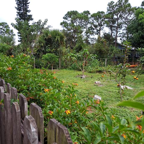 A home in Palm City