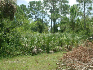 South Village - Land