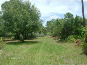 South Village - Land