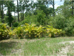 South Village - Land