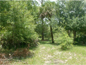 South Village - Land