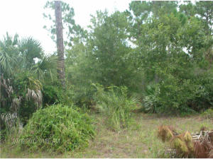 South Village - Land