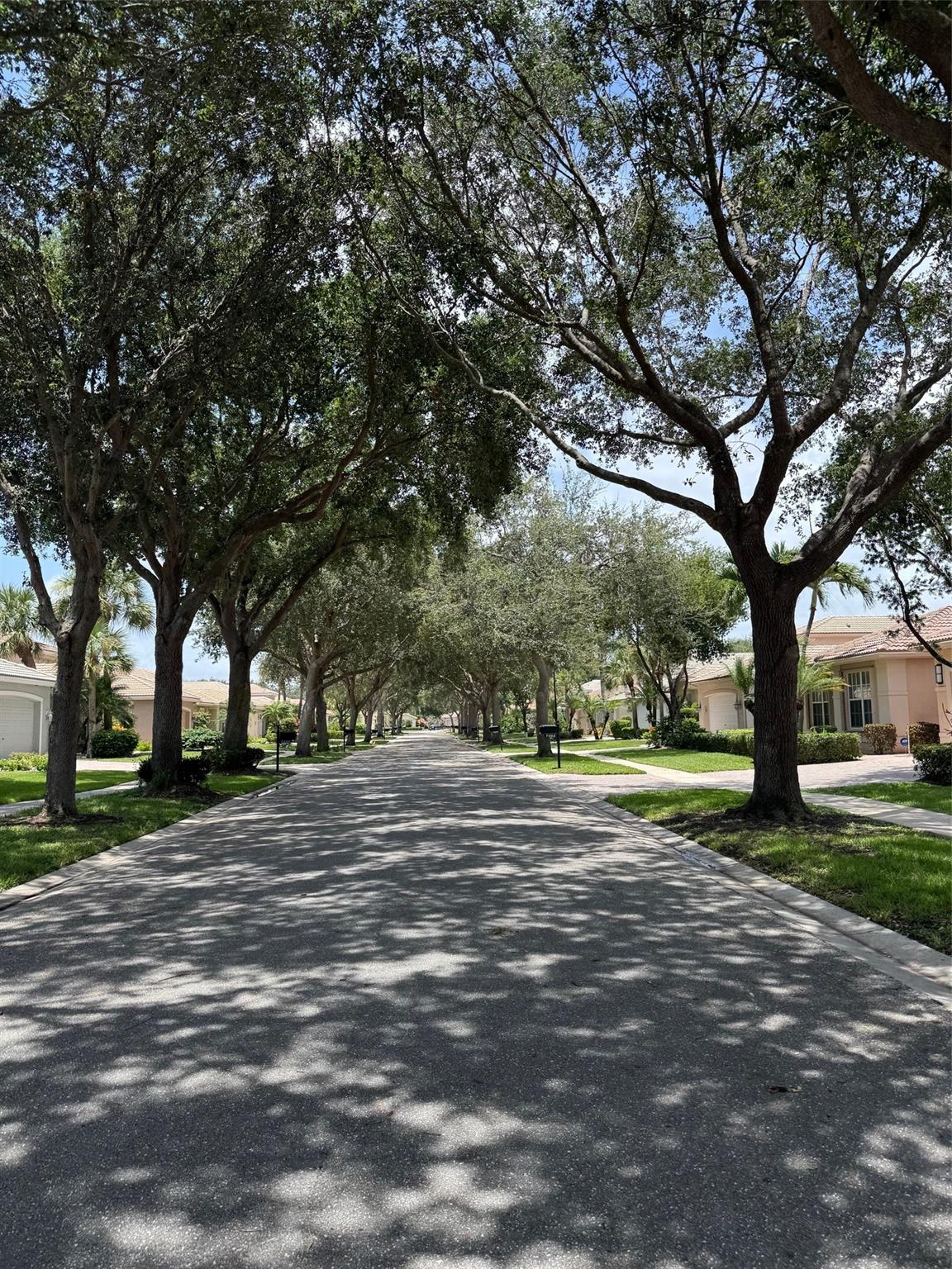 7113 Francisco Bend Dr