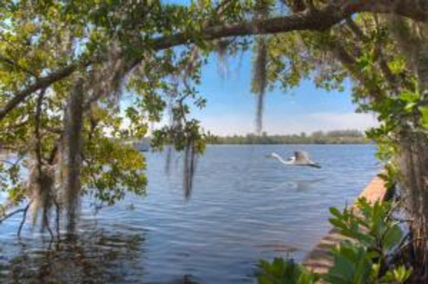 450 feet of waterfront. Sailboat depth.2.67 gorgeous acres of unspoiled wooded waterfront property on protected Kitching Cove. Direct access, no fixed bridges, to Stuart inlet and/or South Fork of St Lucie River/Okeechobee Waterway thru locks to Lake Okeechobee & beyond. This is quite possibly the best kept secret on the water for over 20 years. Extremely private with all the nature & old Florida ambiance one can handle. Breathtaking property. Words and pictures cannot possibly describe it effectively. One must see & feel it.The property currently features an old Florida fishing shack that is perfect for construction headquarters, or storage, while your dream unfolds.