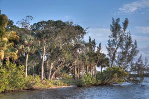 Kitching Cove waterfront. - Residential