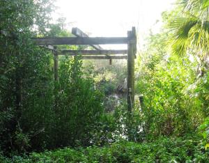 Kitching Cove waterfront. - Residential