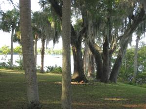 Kitching Cove waterfront. - Residential