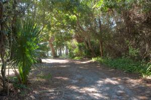 Kitching Cove waterfront. - Residential