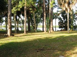 Kitching Cove waterfront. - Residential