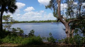 Kitching Cove waterfront. - Residential