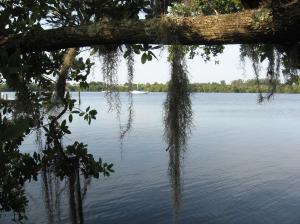 Kitching Cove waterfront. - Residential