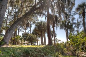 Kitching Cove waterfront. - Residential