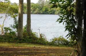 Kitching Cove waterfront. - Residential