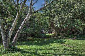 Kitching Cove waterfront. - Residential